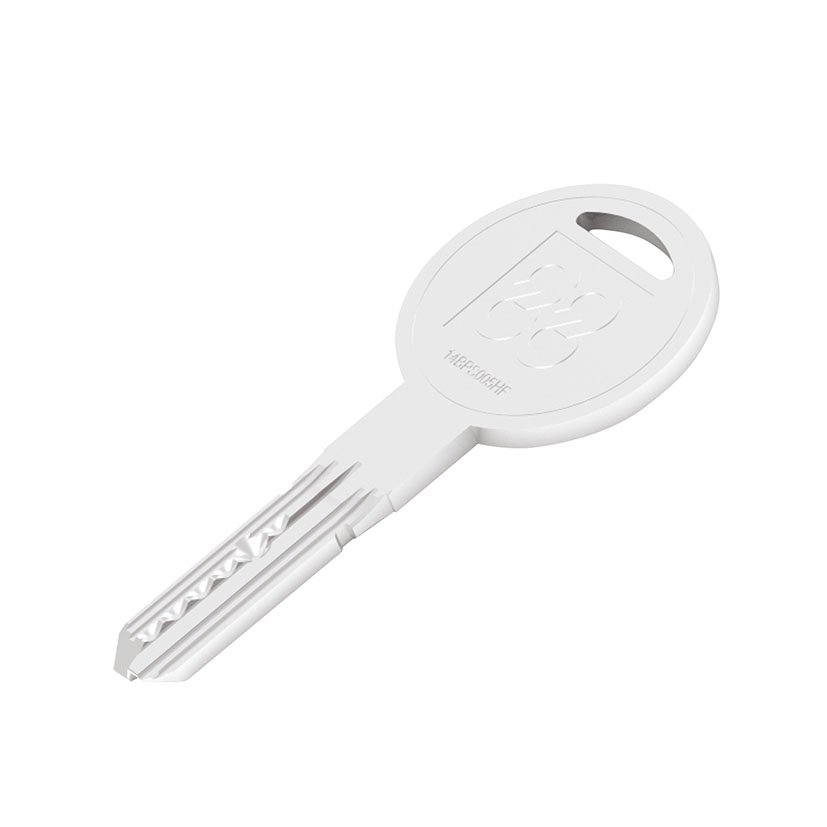 10 LLAVES BRUTO SEG. CIL. TECNIK C88