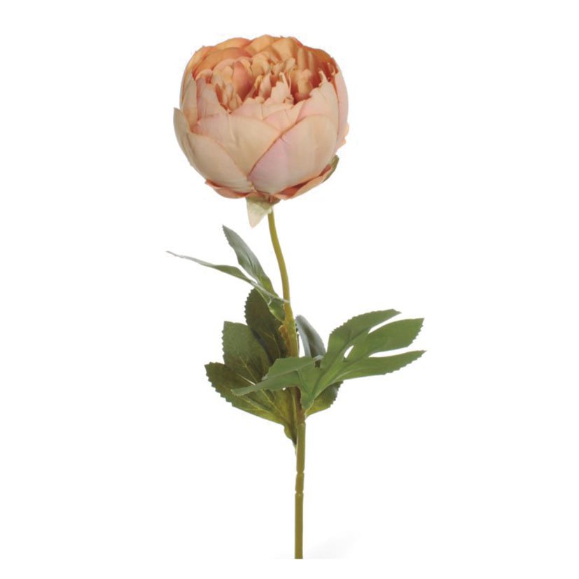 VARA Peonia Cerrada Salmon decorativo