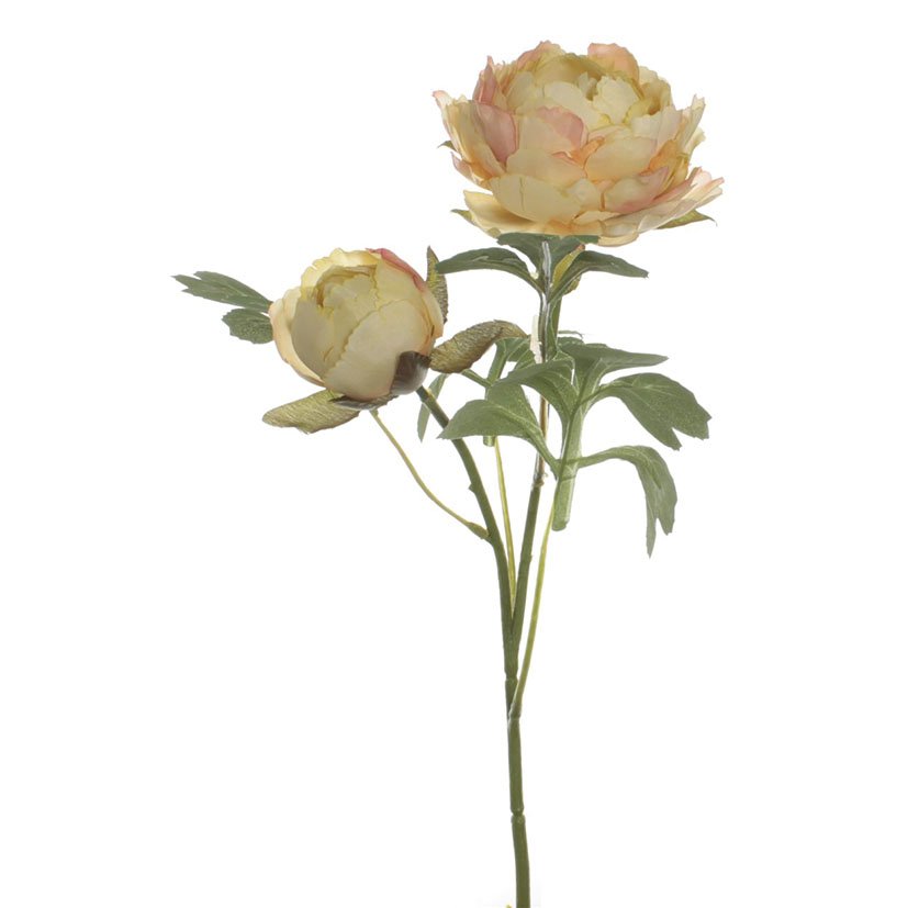 VARA Ranunculo X 2 Amarillo decorativo