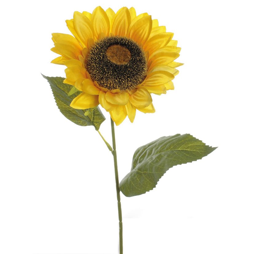 VARA Girasol Amarillo decorativo