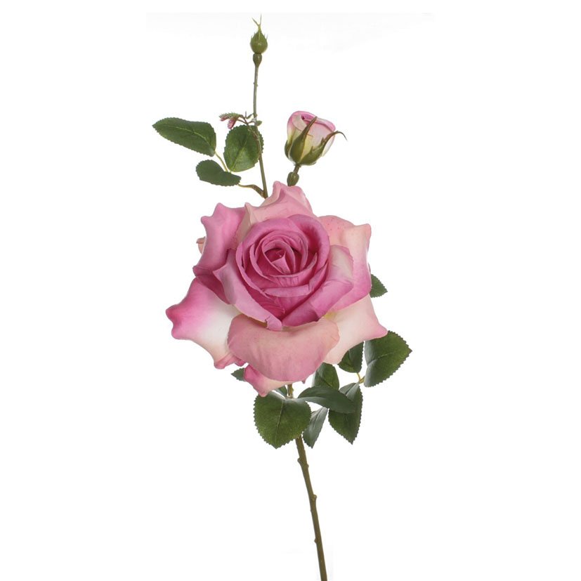 VARA ROSA Alicia Fucsia decorativo