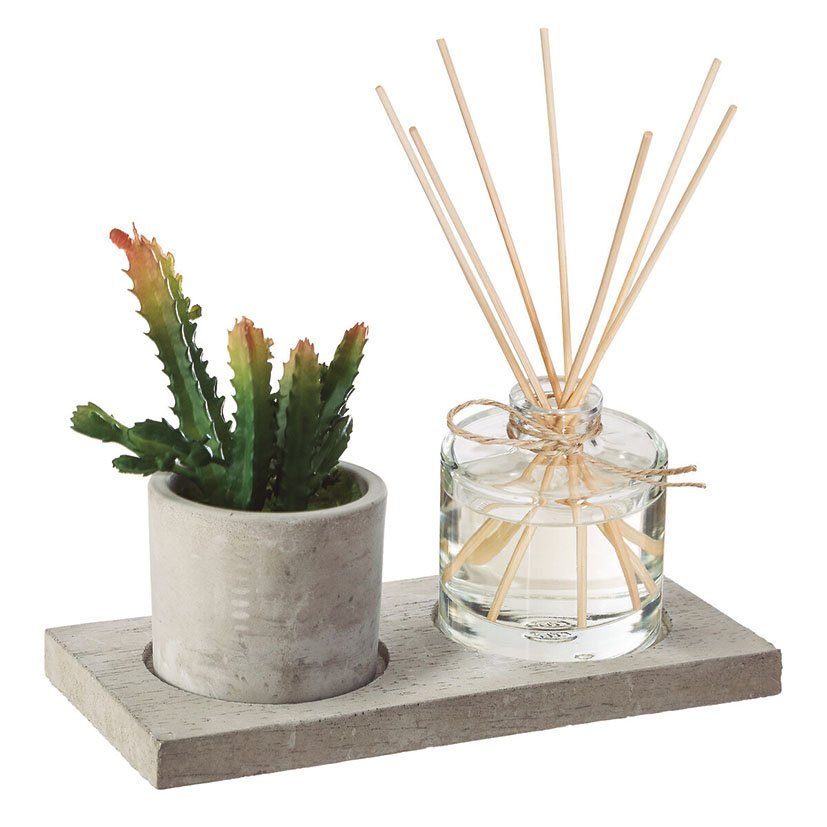 CAJA Aromas + Planta 20X10 CM 5X10X12 Cm decorativo