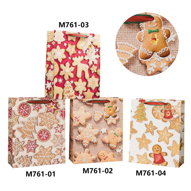 BOLSA Regalo Decorada DASH 42X30 CM navideña