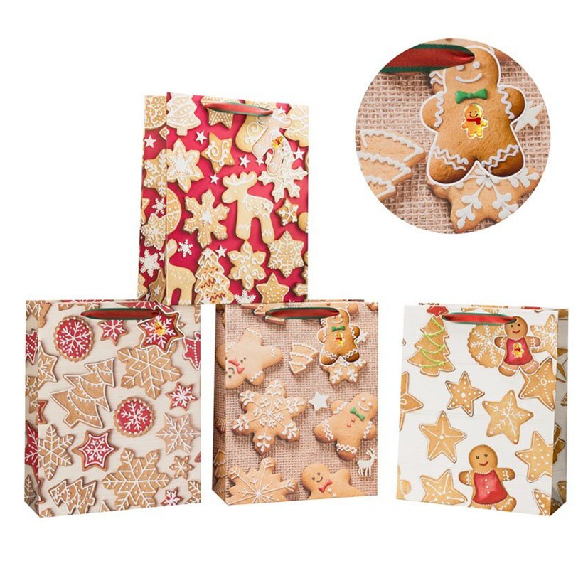 BOLSA Regalo Decorada DASH 24X18 CM navideña