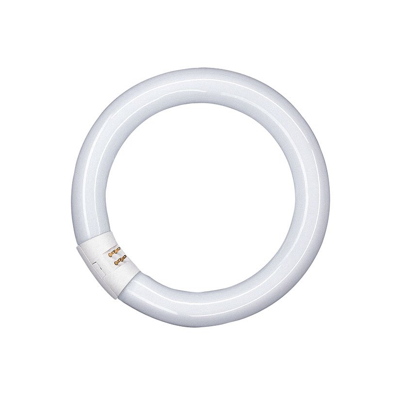 Fluorescente Circular T9 22 W/865 12 UNID Osram 22 W tubo fluorescent
