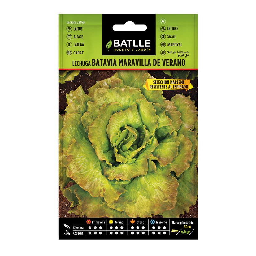 SEMILLAS LECHUGA MARV. VERANO  10 BOL