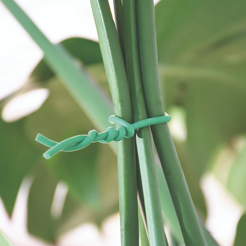 ABRAZADERA PP PLANTAS LISTA Ø2,5MMX10M