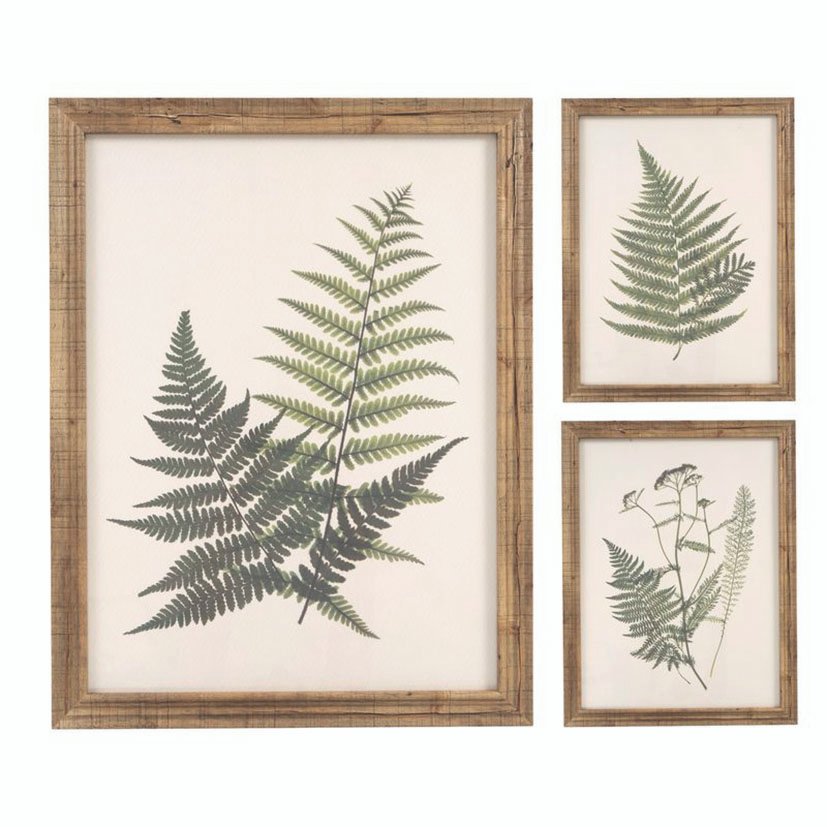 Cuadro 40X54 Helechos 3 Modelos SURT 40X54 Cm enmarcado