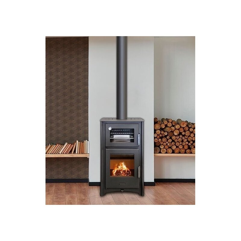 Estufa de leña Aroa Fogosur