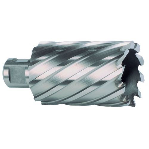 Hueca HSS Vástago Weldon Profundidad 55 Mm (ø 29 Mm) Ruko RUKO-108529-BROCA corte perforación