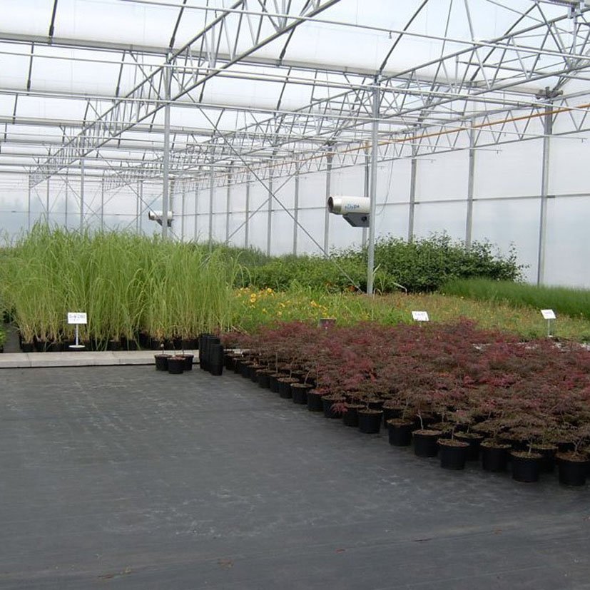 MALLA Antihierba Blanco 2X5 Fun&go 2X5 M cultivo - Imagen 5