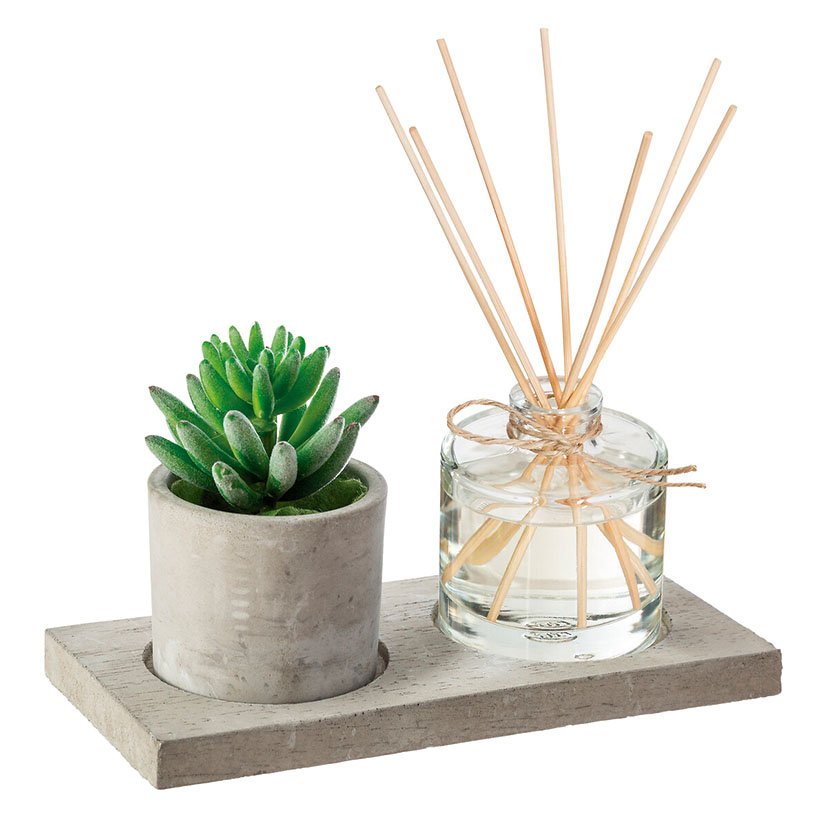 CAJA Aromas + Planta 20X10 CM 5X10X12 Cm decorativo - Imagen 2