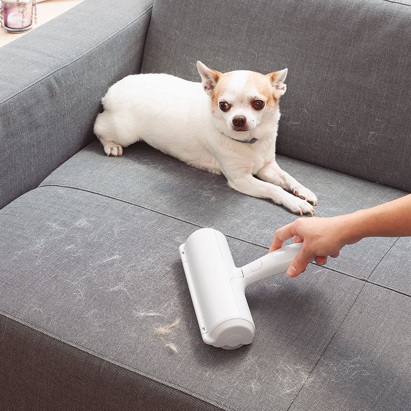 Rodillo Quitapleos Reulilizable Mascotas Innovagoods - Imagen 2