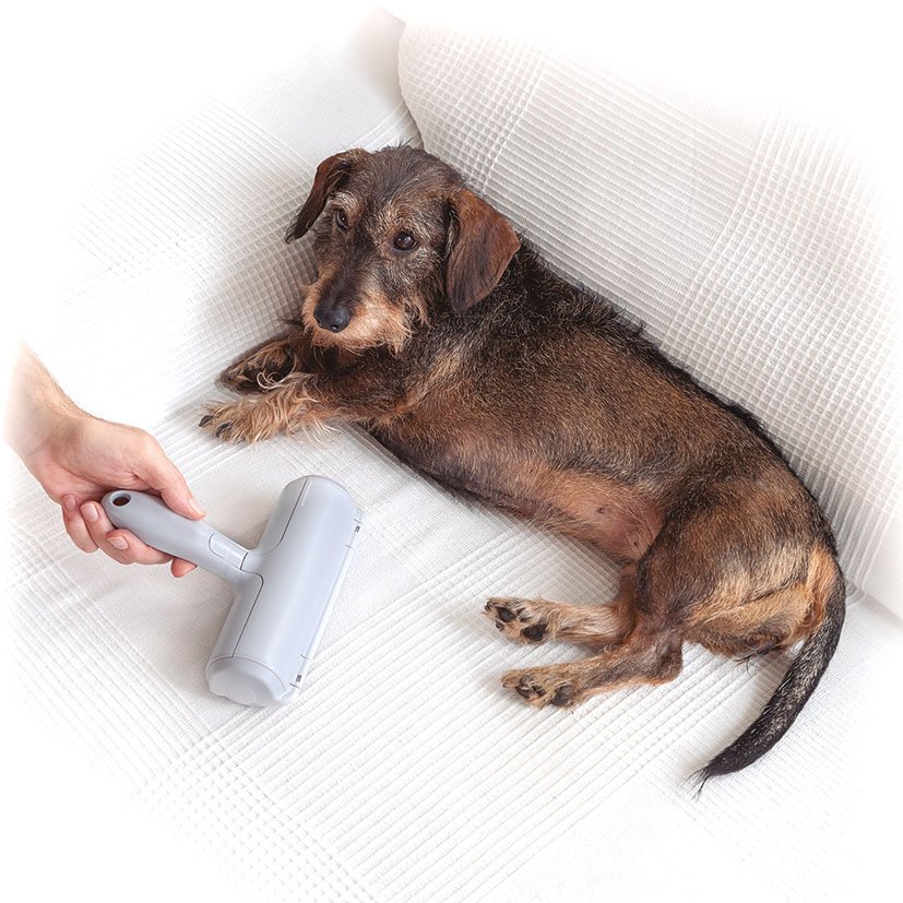 Rodillo Quitapleos Reulilizable Mascotas Innovagoods - Imagen 8