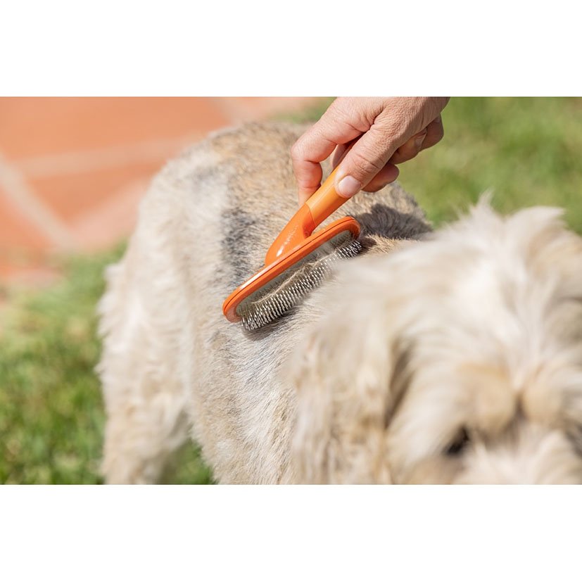 Cepillo Metalico PERRO PETS CLUB Naranja 10X5X15 5 Cm mascota - Imagen 3