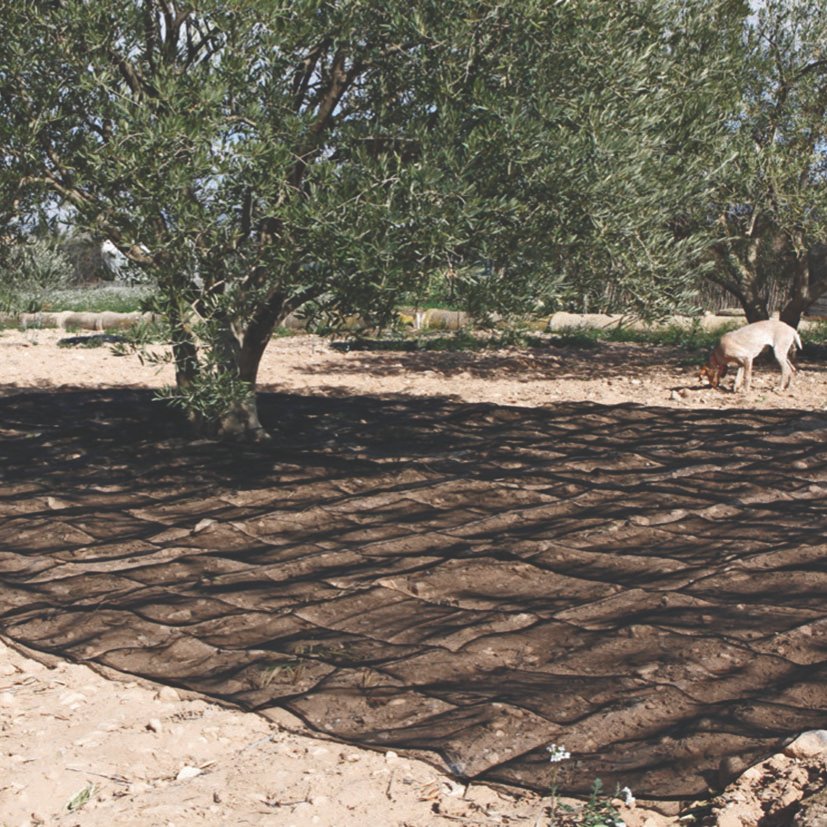 Manto Recolec. Oliva/almendra Lista 4 X 8M 4 X 8 M 8 M