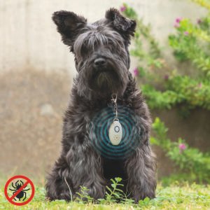 Colgante Antiparásitos para Mascotas 12 X 1 Cm 1 Cm Innovagoods