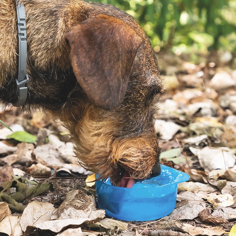 Botella Comida y Agua para Mascotas 8.5 Cm Innovagoods - Imagen 4