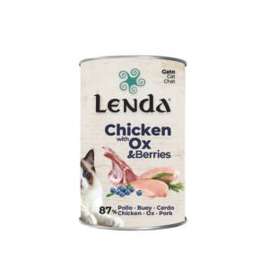 Paté Húmedo para Gatos 400 Gr. Hipoalergénico sin Grano. Buey y Arándanos